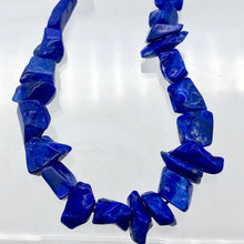 Load image into Gallery viewer, Intense! Natural Gem Quality Lapis Lazuli Bead Strand!| 46 beads | 11x10x6mm | - PremiumBead Primary Image 1