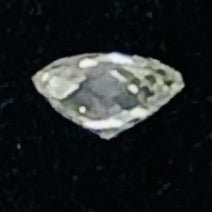 Load image into Gallery viewer, 0.23cts Natural White Diamond Tabiz Briolette Bead 10617G