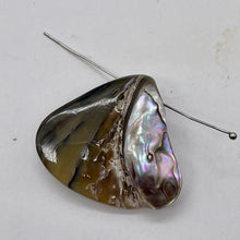 Load image into Gallery viewer, Abalone Hinge Shell | 33x37x10mm | Silver Pink | 1 Pendant Bead |