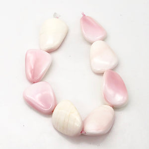 Conch Shell. Pear Shaped | 27x19x8 to 28x22x11 | Pink White | 2 Bead(s)