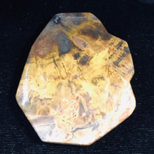 Load image into Gallery viewer, Fossilized Wood Irregular Flat Briolette | 52x43x7mm| Tan/Brown | 1 Pendant Bead