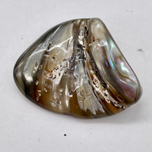 Load image into Gallery viewer, Abalone Hinge Shell | 1 Pendant Bead |