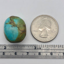 Load image into Gallery viewer, Genuine Natural Turquoise Nugget Focus or Master Bead | 36cts | 22x18x14mm - PremiumBead Alternate Image 3