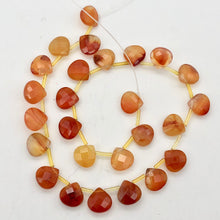 Load image into Gallery viewer, Sparkling! Carnelian Agate Briolette 13x13x6mm Bead Strand - PremiumBead Primary Image 1