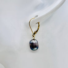 Load image into Gallery viewer, South Sea Pearl 14k Gold Lever Back Drop Earrings | 1" Long | Gray | 1 Pair |