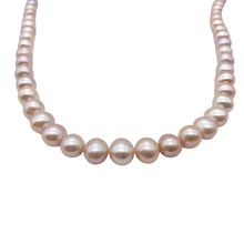 Load image into Gallery viewer, Lovely! Natural Peach Freshwater Pearl 16" Strand Graduated 6mm to 8mm 110811B