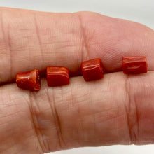 Load image into Gallery viewer, 3 Unique Natural AAA Red Coral 4x6mm Beads 002607A - PremiumBead Alternate Image 6
