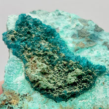 Load image into Gallery viewer, Stunning Dioptase on Chrysocolla Display Specimen | 2.25x1.5x.75" | Green | - PremiumBead Primary Image 1