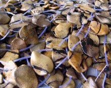 Load image into Gallery viewer, 1 Artistic Dendritic Jasper Wavy Briolette Bead 006710B - PremiumBead Alternate Image 3