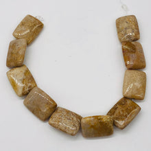 Load image into Gallery viewer, Coral Fossilized Strand Rectangular | 20x15x6 mm | Brown/White | 20 Beads |