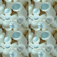 Load image into Gallery viewer, 18 Premium Mother of Pearl Beads 004366 - PremiumBead Primary Image 1