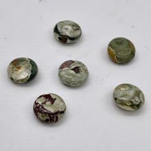 Load image into Gallery viewer, 6 Raintree Rhyolite Jasper 11mm Coin Beads 009538P