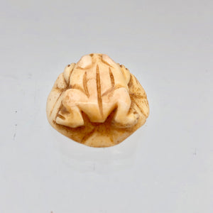 Poised Hand Carved Frog on Lily Pad Bone Bead | 1 Bead | 19x8mm | 7550 - PremiumBead Alternate Image 7