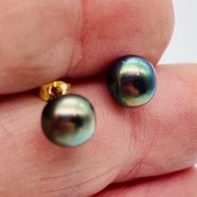 Load image into Gallery viewer, South Sea Black Pearl 14K Stud Earrings | 1/4 inch | Gold | 1 Pair |
