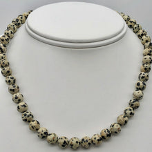 Load image into Gallery viewer, Spots Dalmatian Jasper 8mm Round Bead Strand 109420 - PremiumBead Primary Image 1