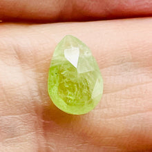 Load image into Gallery viewer, Garnet Grossular Flat Faceted Briolette Pendant Bead| 9x6x3mm (1.3ct) |Green | 1