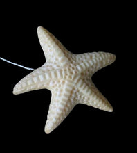 Load image into Gallery viewer, Splash Starfish Carved Waterbuffalo Bone Button 009700G | 33x31.5x7mm | Bone