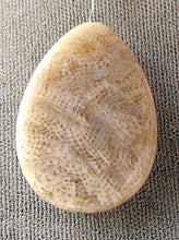 Load image into Gallery viewer, Super Special 2 Fossilized Coral Pear Pendant Beads 7084 - PremiumBead Alternate Image 3