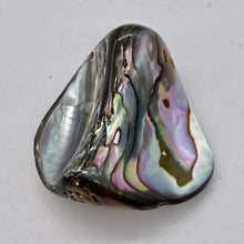 Load image into Gallery viewer, Abalone Hinge Shell | 1 Pendant Bead |