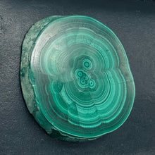 Load image into Gallery viewer, Malachite 37g Polished Round Stalactite Slice | 1 Specimen | | 46x41x7mm | Green
