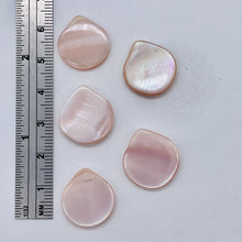 Load image into Gallery viewer, Premium Mother of Pearl Shell Beads | 18x15.5mm | Pink | Briolette | 5 Beads |
