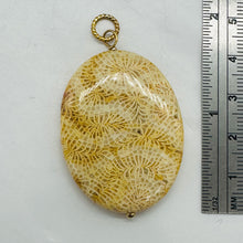 Load image into Gallery viewer, Tan White Fossilized Coral Flat Oval Pendant 40x30x5.5mm Natural Stone
