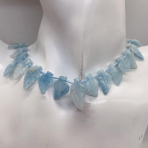 Natural Aquamarine Leaf Bead Strand | 145cts | 22x10x5 - 16x10x4mm | 35 Beads |