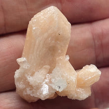 Load image into Gallery viewer, Stilbite Crystal Natural Collector&#39;s Specimen |1.2g | 30x40x25mm | Pink |
