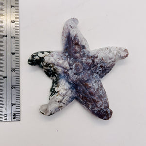 Tree Agate Carved Starfish Pendant Bead | 60x58x11mm | Gray White | 1 Bead |