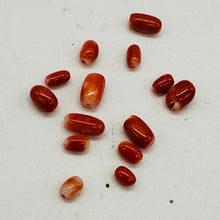Load image into Gallery viewer, Coral Natural Oval Beads | Salmon, Red | 14 Beads | 5x3 to 7x4mm |
