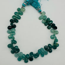 Load image into Gallery viewer, Grandidierite AAA Graduated Briolette Strand| 8&quot; Long| Aqua, Blue| 50 to 60 Bds|
