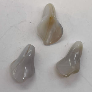 Chalcedony Calla Lily Flower Beads | 22x11x2.5mm to 27x11x2mm | White | 3 Beads|