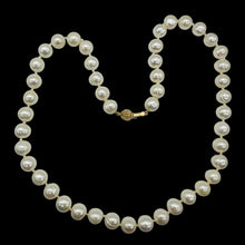Load image into Gallery viewer, Lovely Creamy White Freshwater Pearl &amp; 14K Gold 21 inch Necklace 9809
