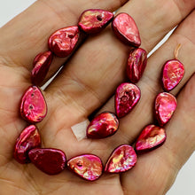 Load image into Gallery viewer, Yummy Raspberry FW Teardrop Coin Pearl 8 inchStrand 9949HS
