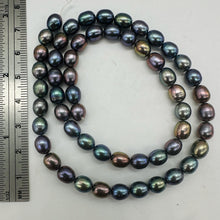 Load image into Gallery viewer, Blue Pink Lavender Freshwater Pearl Strand | Near-Round Oval | 7x6mm| 55 Pearls
