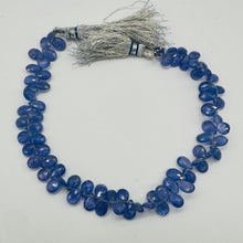 Load image into Gallery viewer, Tanzanite AAA Graduated Briolette Bead Strand | 8&quot; Long | Lavender | 75 Strand |
