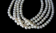 Load image into Gallery viewer, Premium 6.5 x 7mm Cream White FW Pearl Strand 101304
