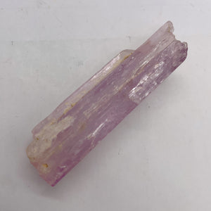 Kunzite 45 Gram Complete Natural Crystal| 71x19x18 | Lavender| Display Specimen|