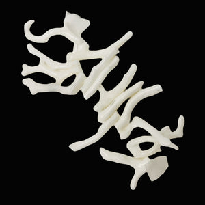 Coral Branch Beads | 26x3 to 19x2mm | White | 15 Beads |