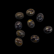 Load image into Gallery viewer, Rare 9 Chocolate Jasper 10x8mm Oval Coin Beads 009157
