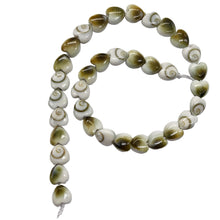 Load image into Gallery viewer, Shiva Shell Half Strand Heart Cut Beads | 6x3mm | White, Tan | 35 Beads
