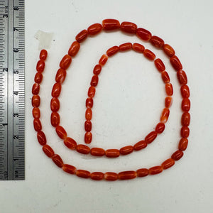 Coral Oval Graduated Beads Strand | 16" Long | 8x4 to 6x3mm | Red | 1 Strand |