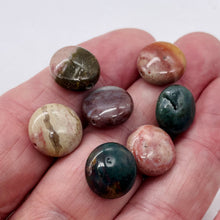 Load image into Gallery viewer, Exotic Imperial Jasper 14mm Coin Bead 8 inch Strand 9594HS
