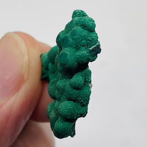 Malachite 7 Gram Natural Display Specimen | 27x25x6mm | Green | 1 Specimen |