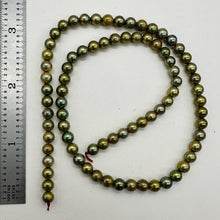 Load image into Gallery viewer, Fresh Water Pearls 16&quot; Strand Round Pearls | 5mm | Golden Green | 1 Strand |
