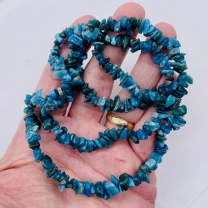 Apatite Bead Strand | Chip | 11x8x5 to 7x5x4mm | Blue | 200 Beads |