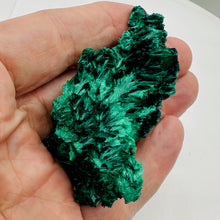 Load image into Gallery viewer, Malachite Natural Crystalline Specimen | 45g | 77x36x23mm | Green |
