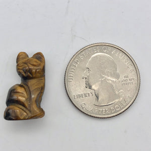 Adorable Tigereye Kitty Cat Figurine | 20x12x9mm | Golden Brown
