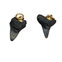 Load image into Gallery viewer, Shark Teeth Natural Pendants | 1&quot; Long | Grey, White | 2 Pendants |
