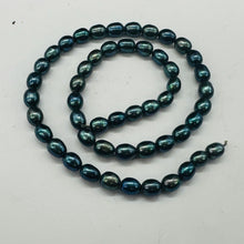 Load image into Gallery viewer, Fresh Water Perfect Beauties Pearl Strand | 8x6mm|Midnight Ocean Blue|50 Pearls|
